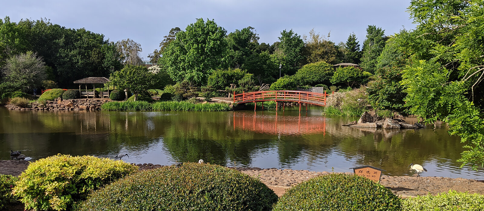 Blog toowoomba attractions