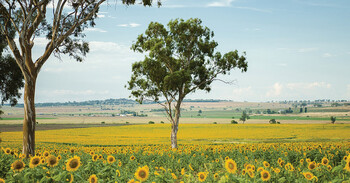 Thumbnail: What to pack when staying in Toowoomba accommodation