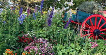 Thumbnail: Things to do close by to Apartments Toowoomba